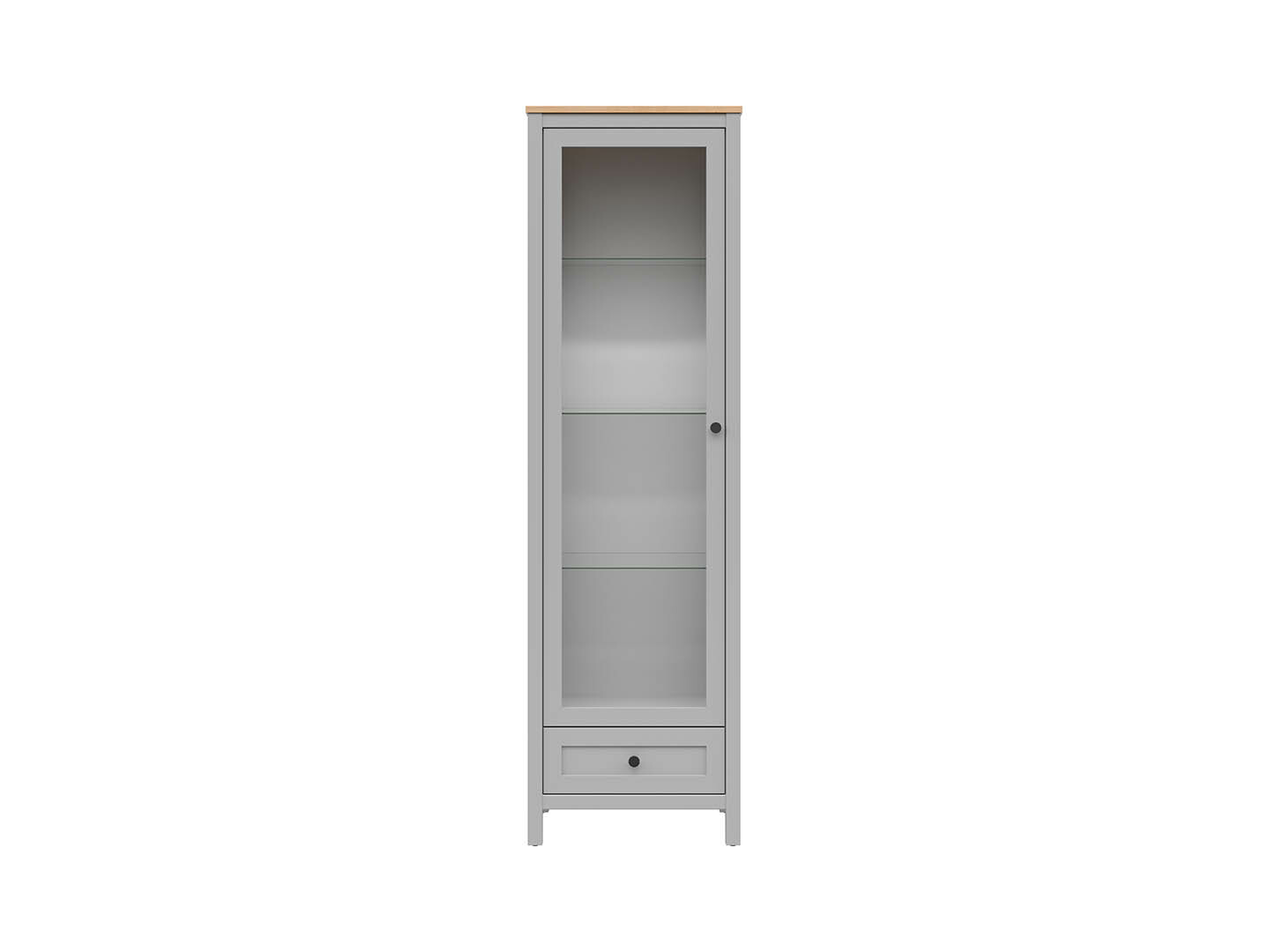 Salga Vitrína REG1W1S